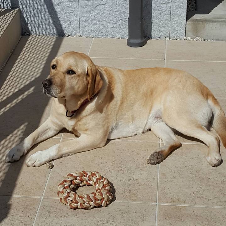 4e01a6ed 8a15 452a 8465 8802655e42cc