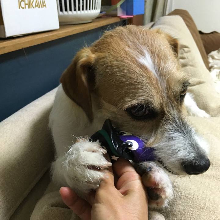 4e021c13 6710 4130 a7b8 af1b57cc09a5