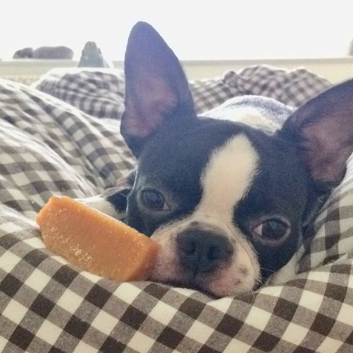 4e022f31 0985 466a 948c 03859ed38283