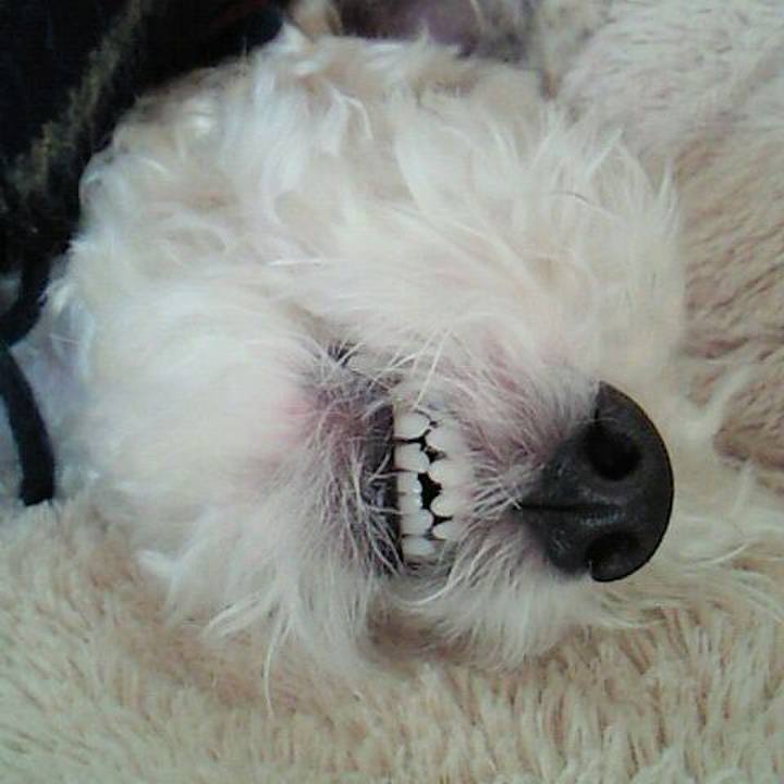 4e0259a8 4af6 4a04 809e c5544150de33