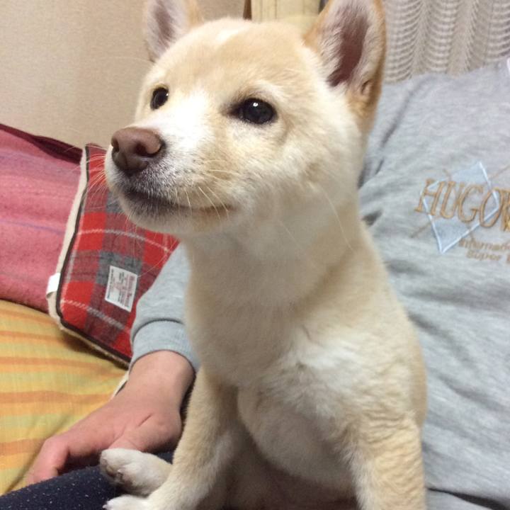 4e025a69 debf 4867 924f fdcd200cbf4b