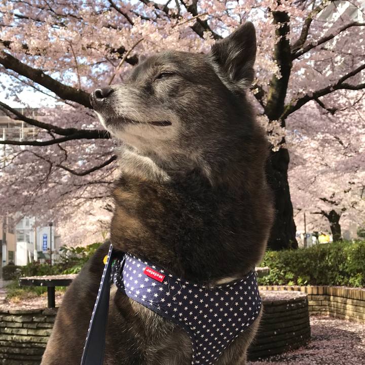 4e02f139 6067 4404 acb7 a97aa4024406