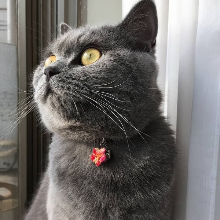 4e0327a3 1b1b 40d7 9d92 9f6825036fc6