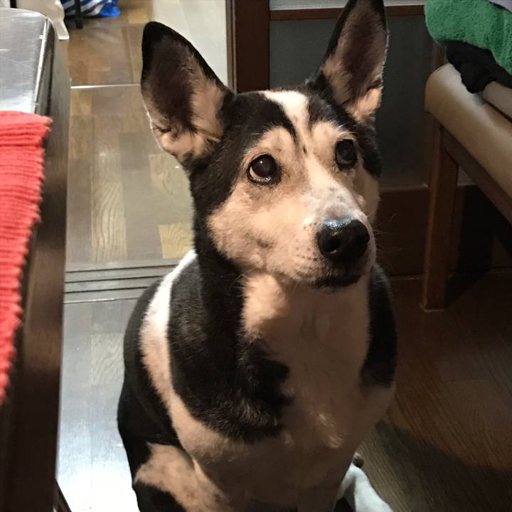 4e034802 897c 4bb0 84b3 3fb3c3882095