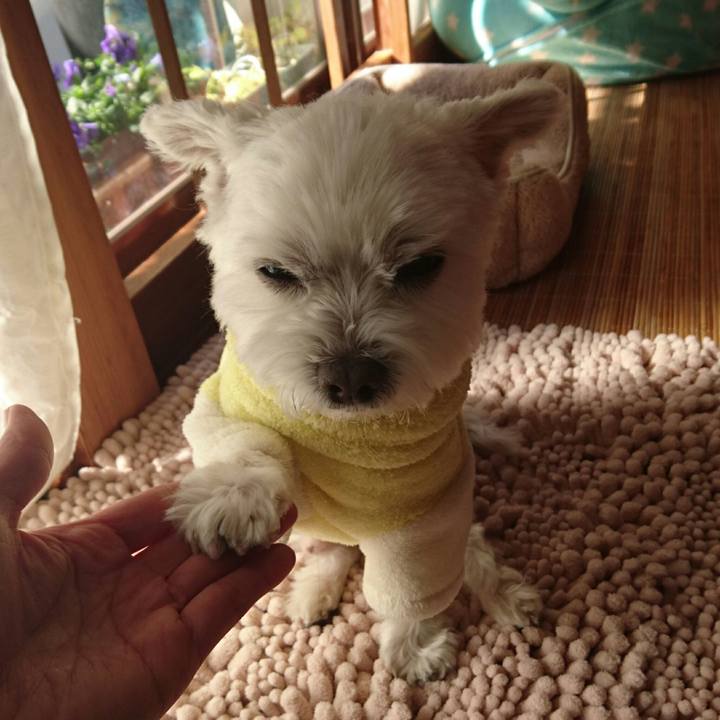 4e036c13 df01 4edf 812a e27335eab1ed