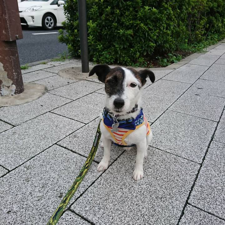 4e037b55 37c9 4703 a04e c00b7834e606