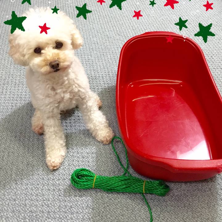 4e03bbfd a45b 4c45 bda4 aec4245d9864