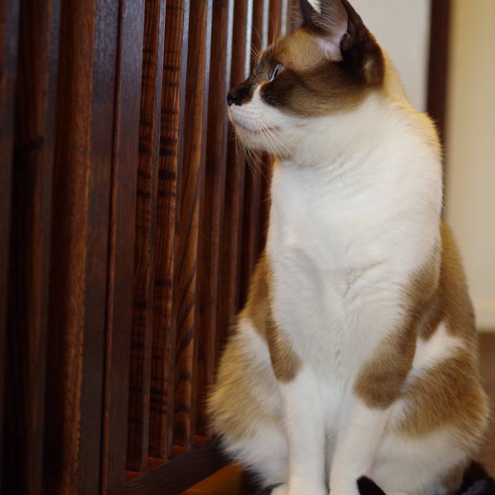 4e03c698 168a 4cbb 9e0f 69cffd65712c