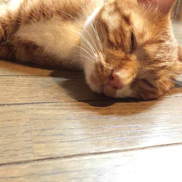 4e041a2f 8f0b 49ec bbaf 1e8d45a5ad34