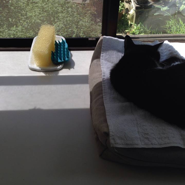 4e041b27 8d9e 4c18 b8e6 29f289cbf0f8