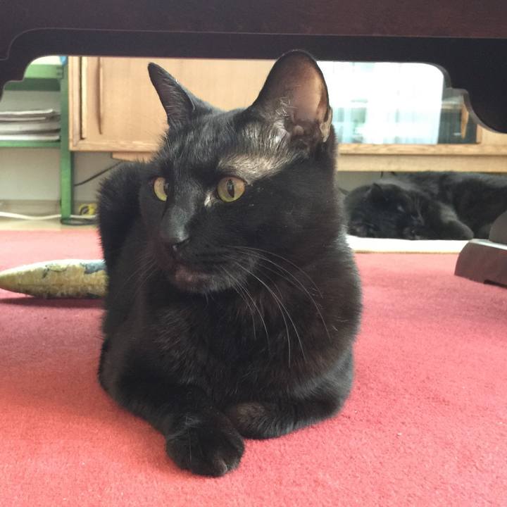 4e042aef 6815 467c 8ae7 20d2616b1e59