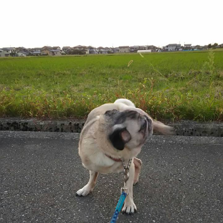 4e046b4d d924 4f01 b70a bcafc9b3f160