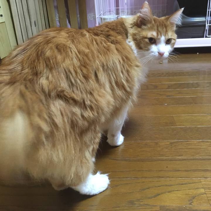 4e0481f5 c4ee 401c b462 e1469ecb4fee