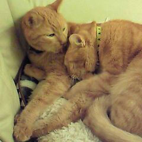 4e04b946 e084 4363 9f8a b168134df504