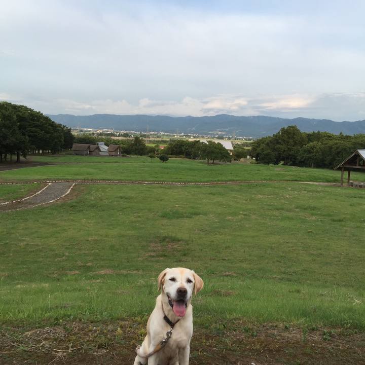 4e053271 0f9d 4fd9 b1f9 de316aaef2d9