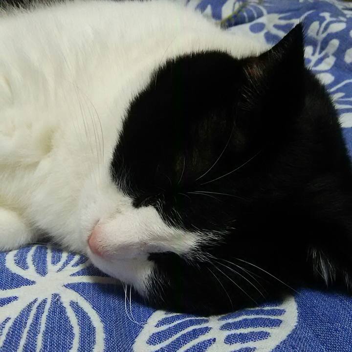 4e066fa7 e210 4860 b469 944f6c505740