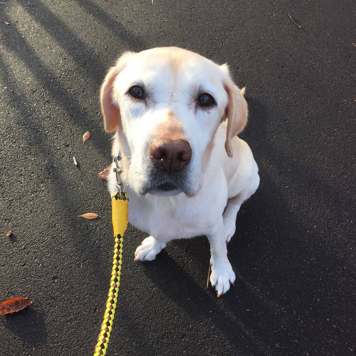 4e074926 fd25 4013 97f6 c7f30a8ff829