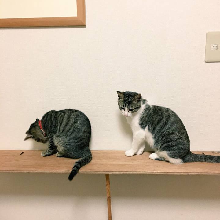 4e07d2e0 c24b 49e9 9d84 157553fda524