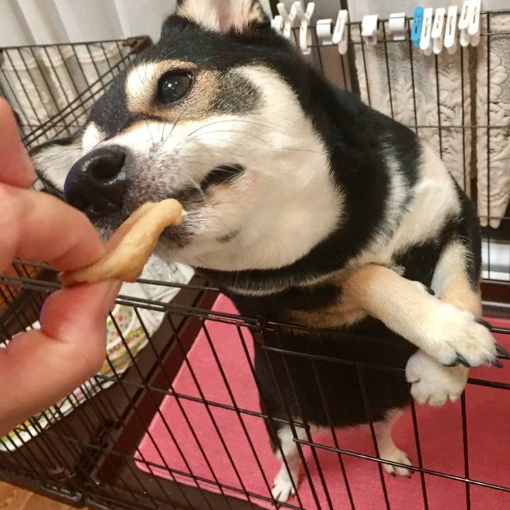 4e095466 ab2c 4e07 bcce 8a7a928dbe8e