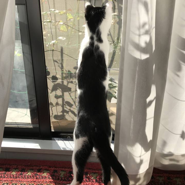 4e09842a da4a 48c3 a0b5 48c39b9d2df1