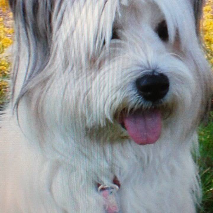 4e099e1f d82f 42d3 aa11 6b2fa6d043c2