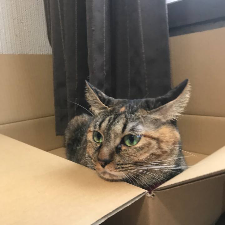 4e09e04e ee68 4e0d a5d4 19b8bc812827