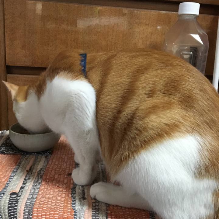 4e0aa42d 95c3 40e3 9204 490a982dc7bc