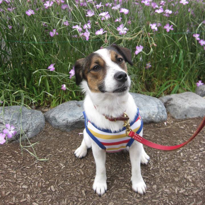 4e0aac13 4d60 4a5c 92b0 c857b574f978