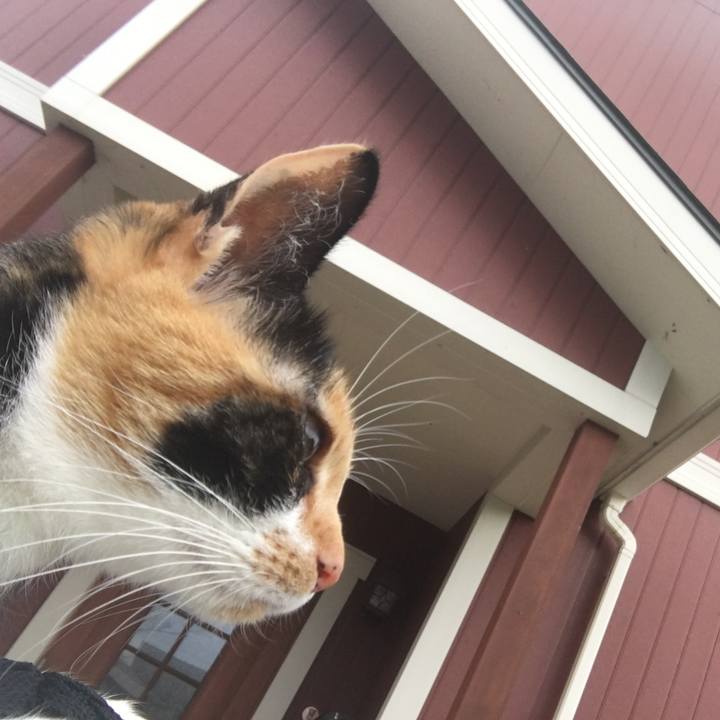 4e0b87ca 8792 4d20 8fbe e4d04ef459f2