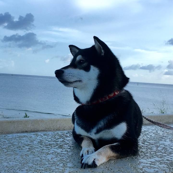 4e0c2cf5 33d1 4e61 983e 4cb927c66b63