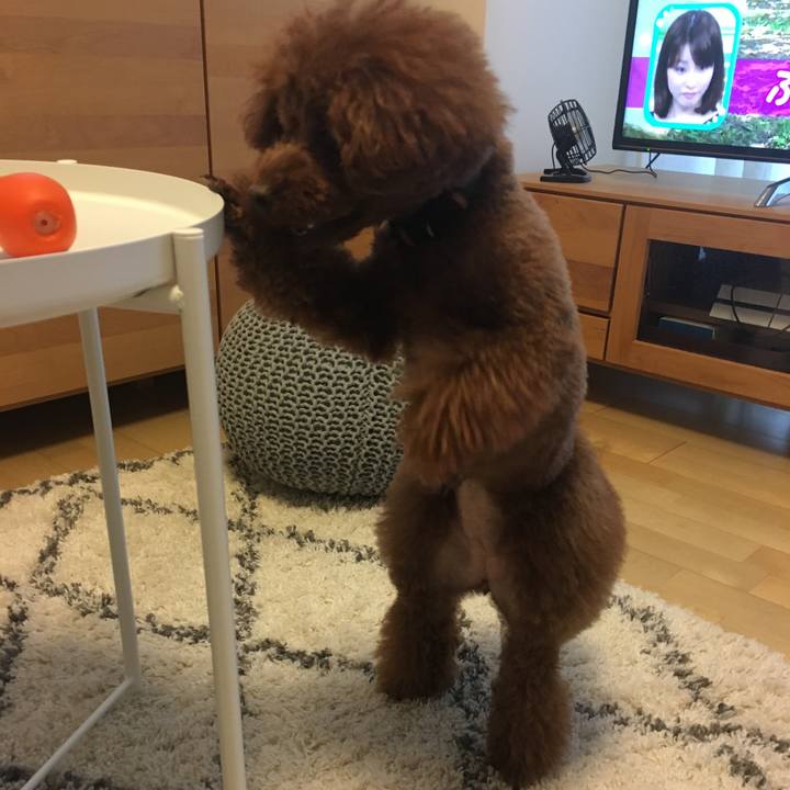 4e0d2468 18ef 4113 8bb1 94d8956ba457