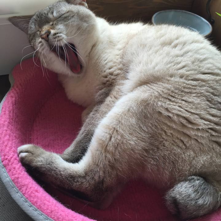 4e0d2ef0 11c3 44cb b978 36650e307b2e