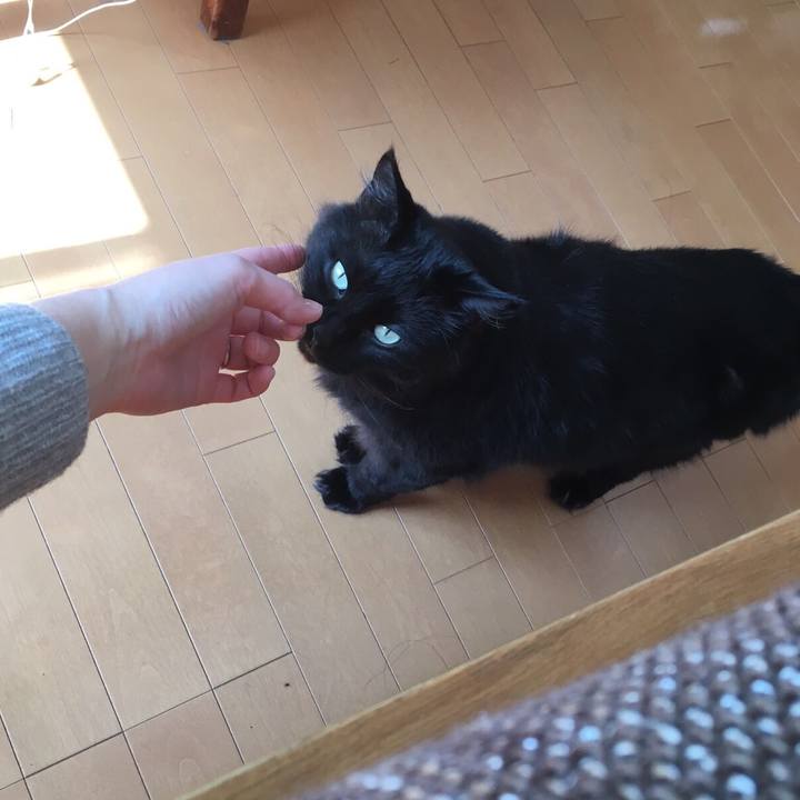 4e0da5d6 d236 4d61 bea6 09893c289a5e