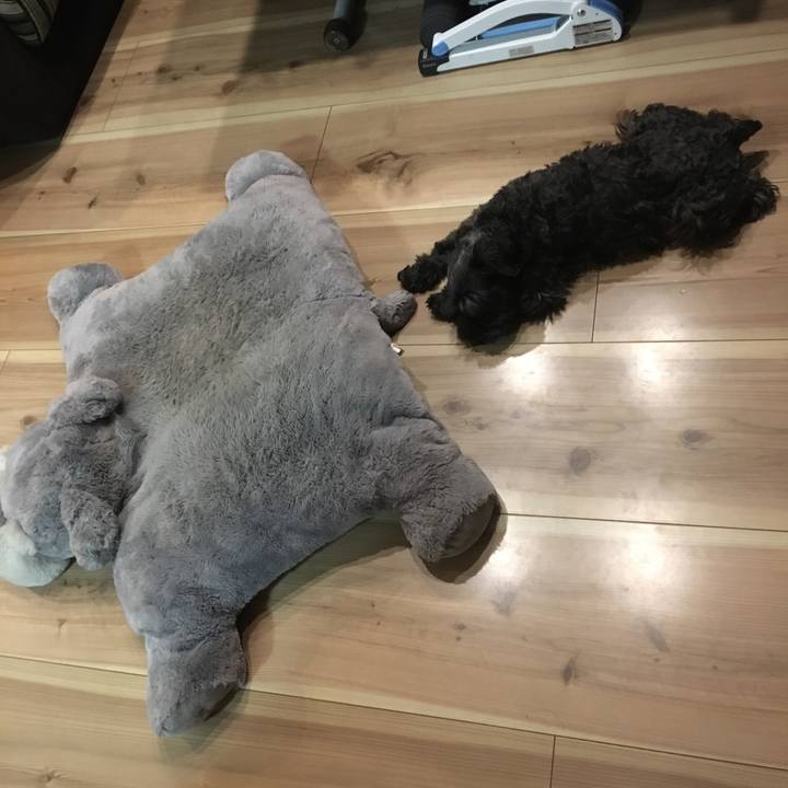 4e0df284 dee2 469c 97e2 fd98f578c3a6