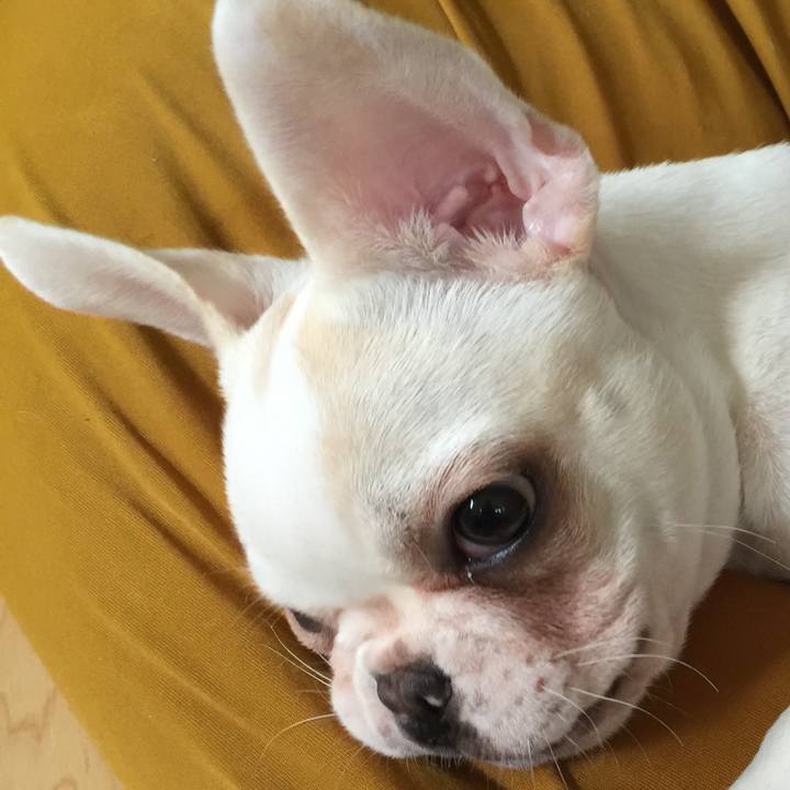 4e0e5dab 388b 4832 9941 6f58fbb4c2bf