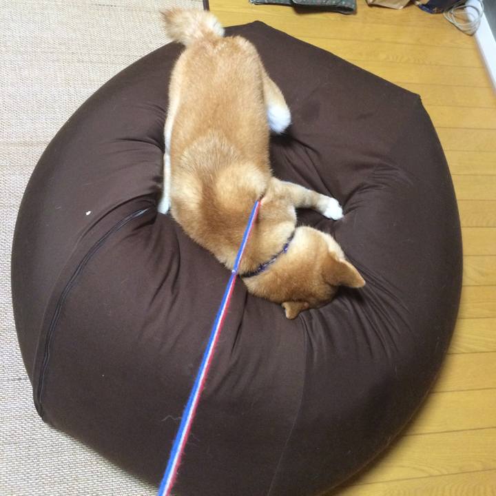 4e0ee8b7 f4c3 4eb9 b046 e2abaca4d091