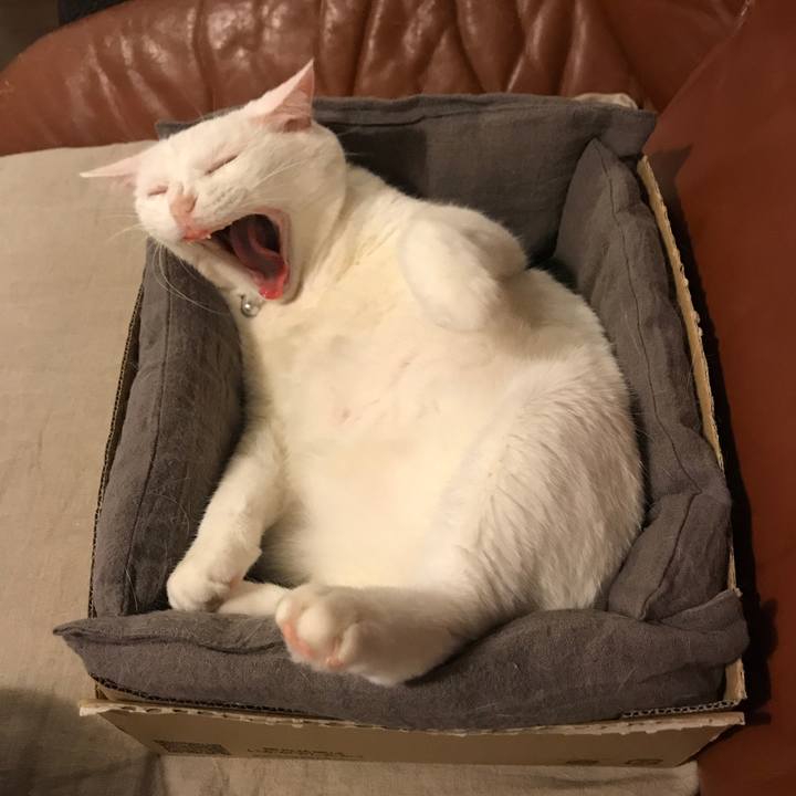 4e0f0cd6 7db4 4e8d 92bc e36a3c8228f2