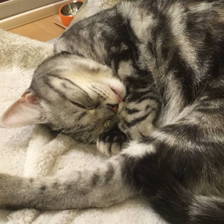 4e0f5f96 0575 4244 8a0e 89f6b3e70688