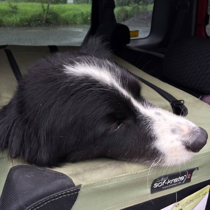 4e0f9183 6267 4430 983e cad694fa04d4