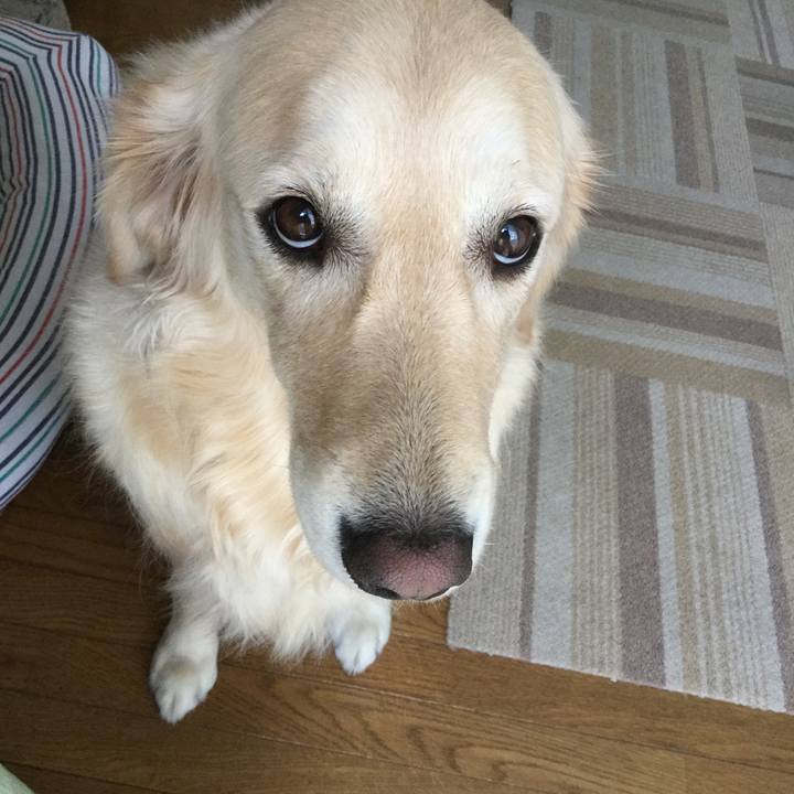 4e105c22 8535 4155 a23b f5c2a027828f