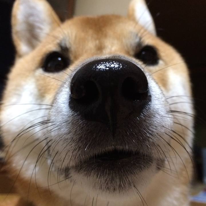 4e11e6f8 03bd 44c1 b3d1 14fa0bf8efc9