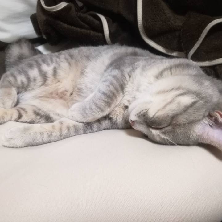 4e11f28c 933e 4a65 a9d3 39103976a400