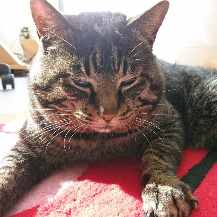 4e122b56 b871 49a9 a20f 6b1ec4f6cfb6