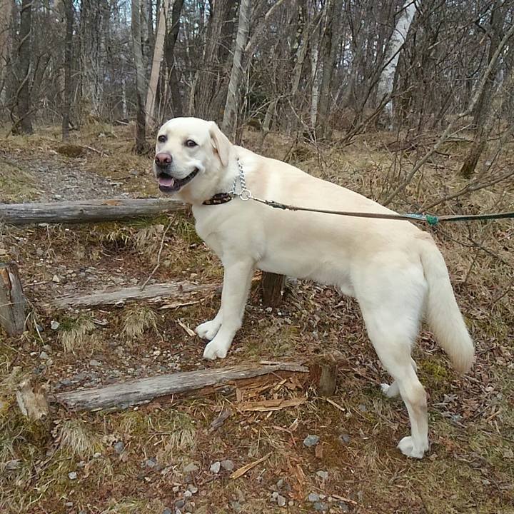 4e12dfb3 76eb 4853 8147 6cdf5716028f