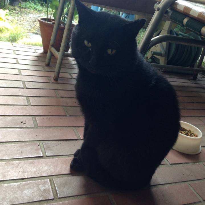 4e1402c8 4c09 4dce a971 5b2519bda77a