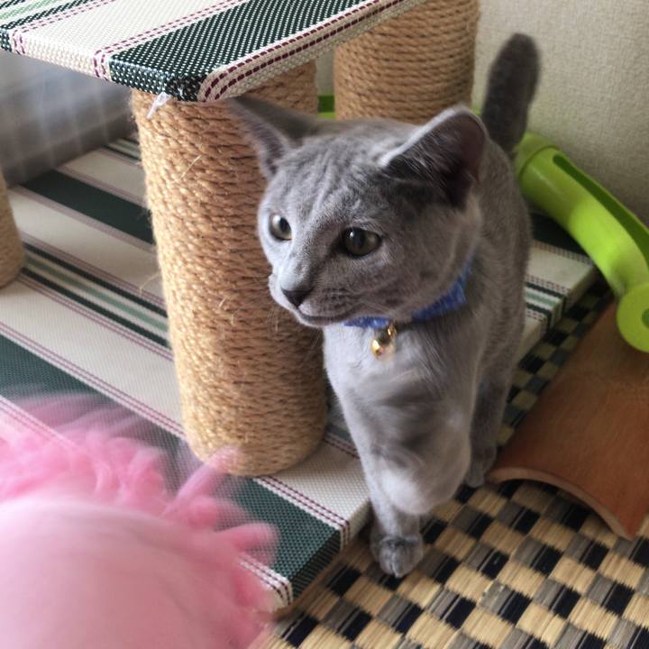 4e1473ca 0340 4871 b004 fcc29798012c