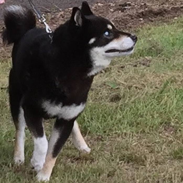 4e14cfc2 c3a0 41d5 8403 932f80b24033