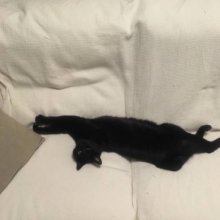 4e15ef10 6d96 4634 a93d 3ef93c0ae640