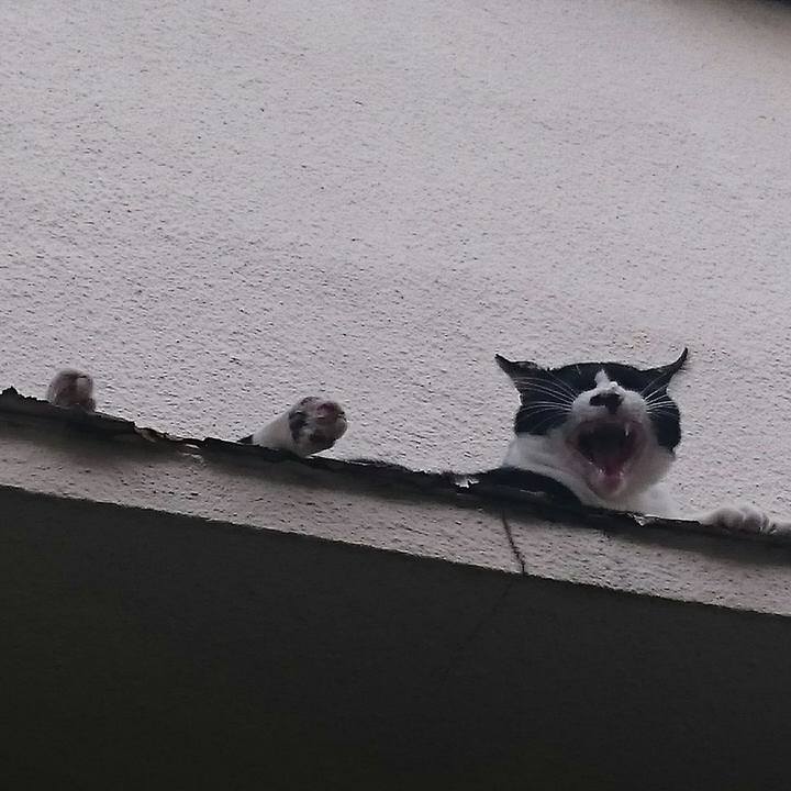 4e1672d1 13d2 44f4 99e3 89adc26ddf03