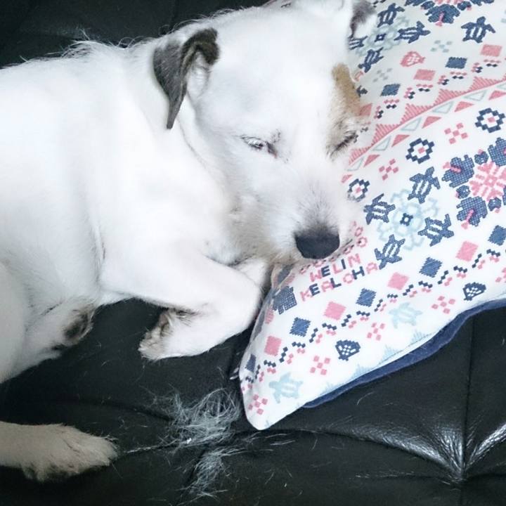 4e1675ab 38d1 495e 800a daa6535f10f3